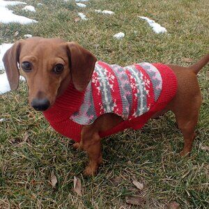 NWT size SMALL dog NEW sweater WORLD MARKET knit pet pink red fair isle warm